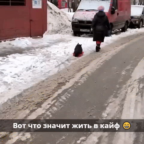 ВОТ ЧТО Значит ЖИТЬ В кайф