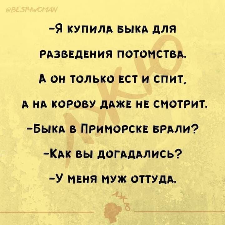 я купили БЫКА для РАЗВЕДЕНИЯ потомствд А он только ЕСТ и спит А на корову дджв НЕ смотрит Быкд в ПРИМОРСКЕ вили Км вы догАдАлись У меня муж оттудд