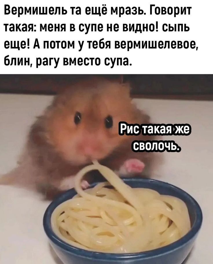Вермишель та ещё мразь Говорит такая меня в супе не видно сыпь еще А потом у тебя вермишелевое блин рагу вместо супа
