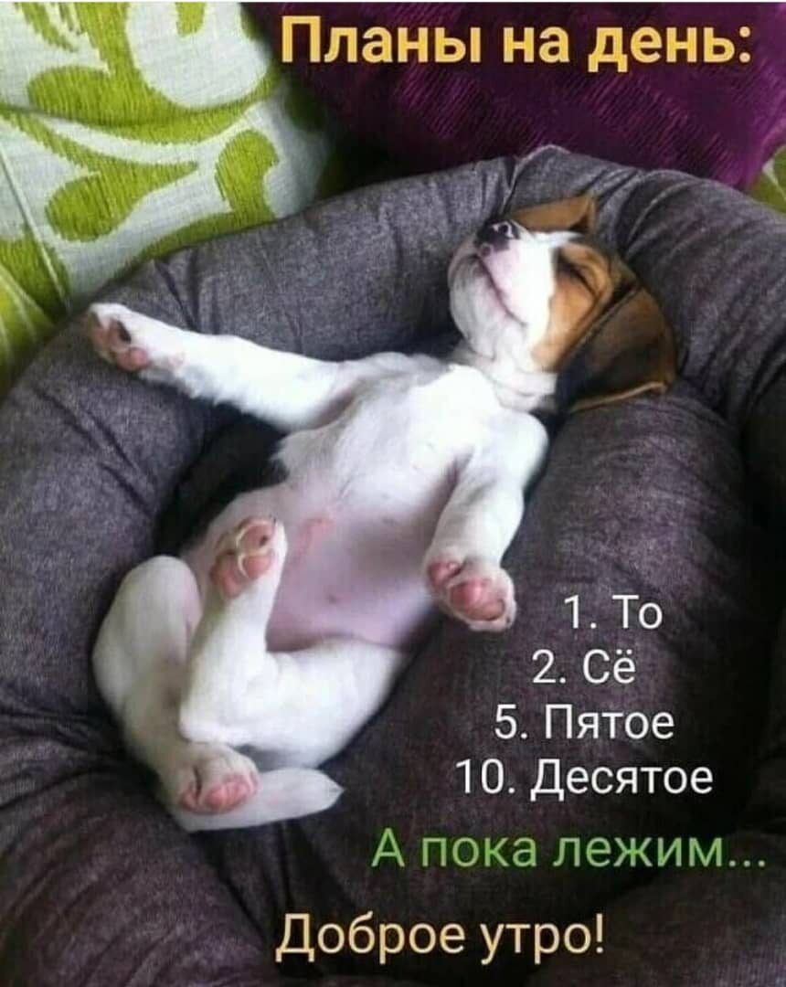 1 То 2 Сё 5 Пятое 1 О Десятое Ё ПЗЗКУЦ Доброе утро