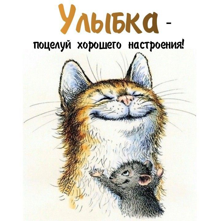 Удывка пецедуй хорошего настроения