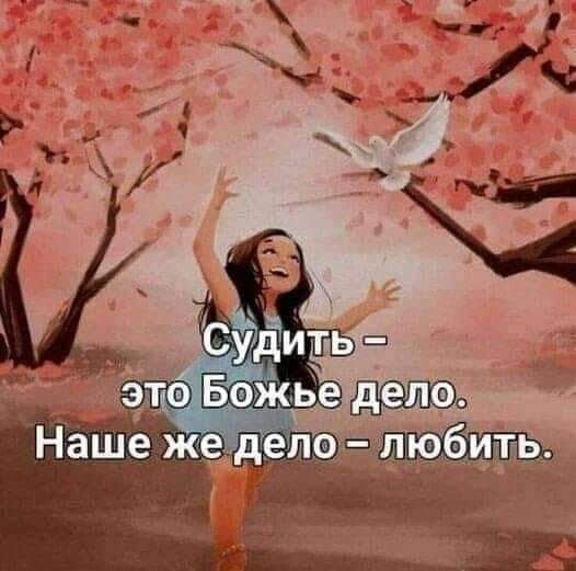 Наше жедело М