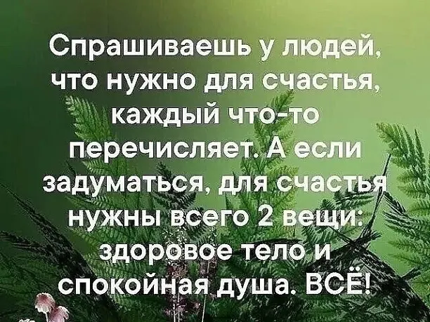 Спрашиваешь уллюдей что нужно для счастья каждый что то перечисляет А если задуматься для счастья нужны всего 2 здоровое тело спокойная душа ВСЁ и АОВАСтик 4