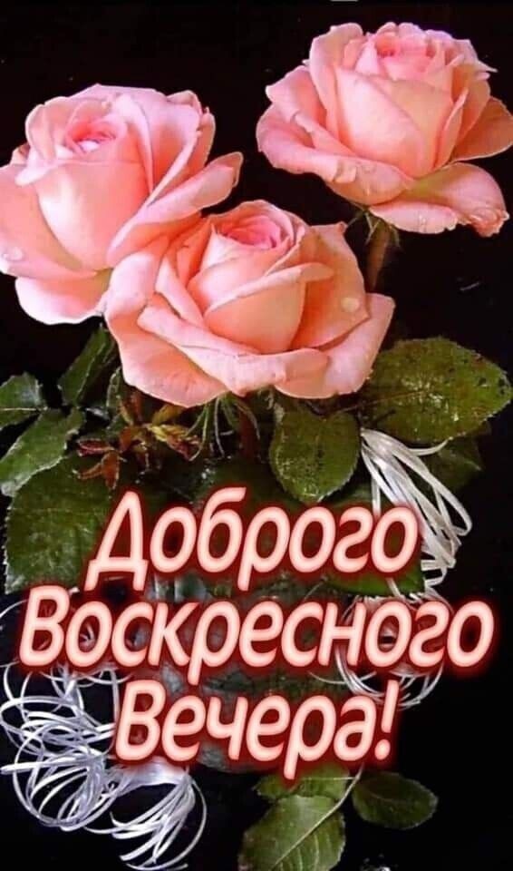 4 ебрд Боскресіэго Венера