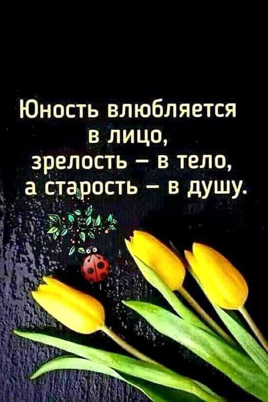 Юность влюбляется в лицо зрелость в тело ость в душу