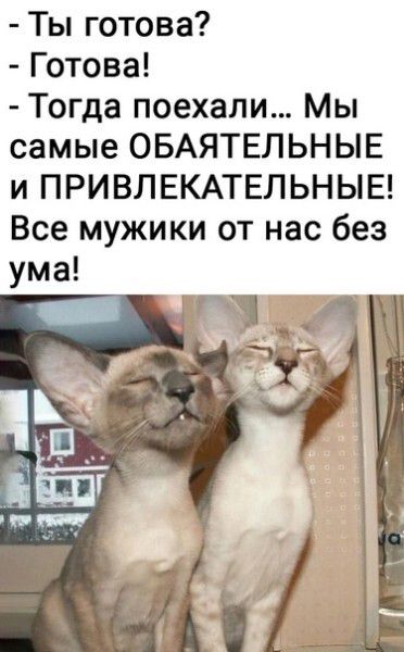 Ты готова Готова Тогда поехали Мы самые ОБАЯТЕЛЬНЫЕ и ПРИВЛЕКАТЕЛЬНЫЕ Все мужики от нас без