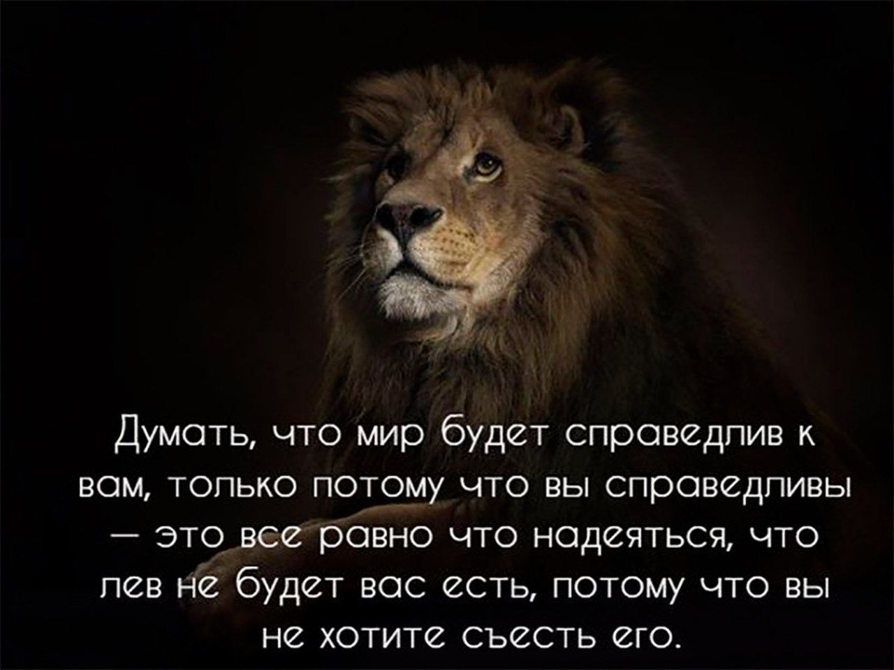 и Думать что мир будит спроведпив к вам топько пощу что вы справедливы этонееровно что надеяться что пен 2 будет вас есть потому что вы НЕ ХОТИТЕ СЬЙСТЬ СГС