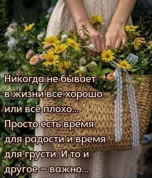 Ёикогдщне А В ЖИЗНИЗВ 17