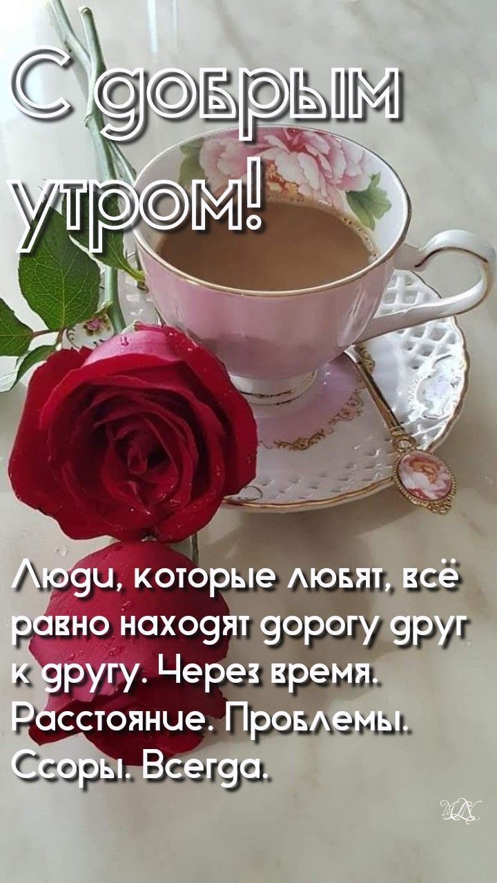 ЗИМ ЁЕ С