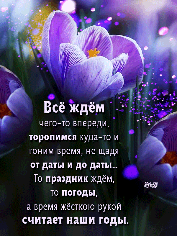 Всё ждём чегото впереди ТОРОПИМСЯ КУДЗЙТО И гоним время не щадя от даты и до даты То праздник ждем ТО ПОГОДЫ а время жёсткою рукой СЧИТЗЕТ НЗШИ ГОДЬЪ