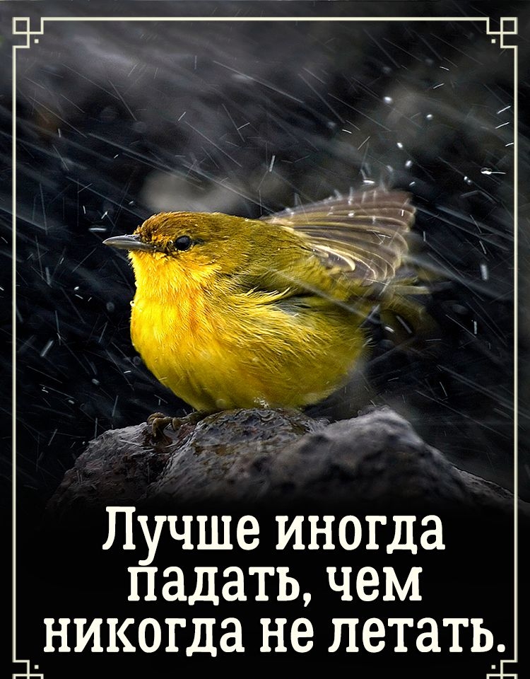 Лучше иногда падать чем _никогда не летатьі
