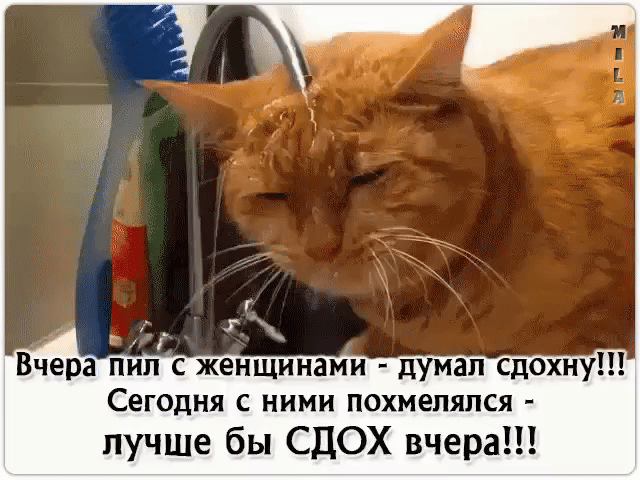 СЕГОДНЯ С НИМИ ПОХМЕПЯПСЯ лучше бы СДОХ вчера