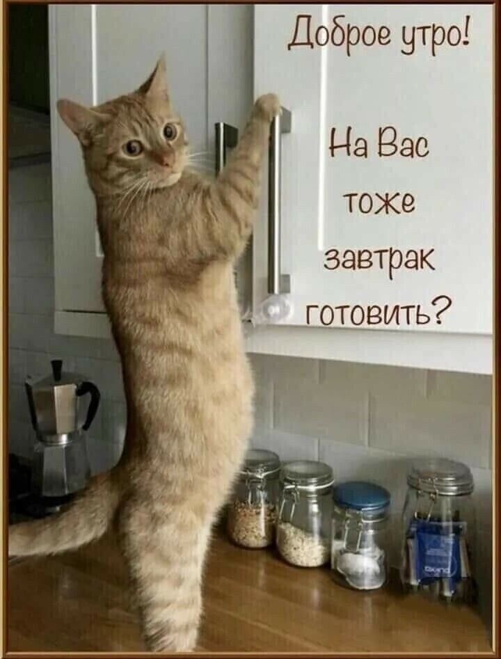 Доброе утро і На Зао токе завтрак готовить