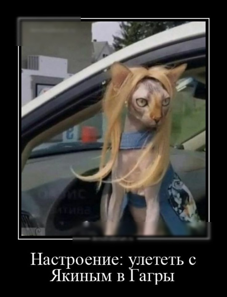 Настроение лететь с Якиным в агры