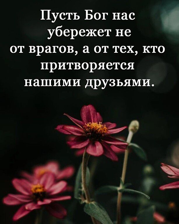 Пусть Бог нас убережет не от врагов от тех кто притворяется нашими друзьями