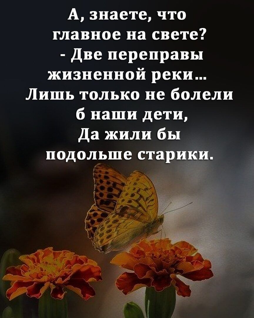 А знаете что главное на свете две переправы жизненной реки Лишь только не болели б наши дети Да жили бы подольше старики