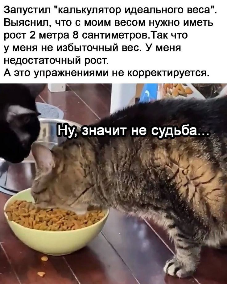 Запустил калькулятор идеального веса Выяснил что с моим весом нужно иметь рост 2 метра В сантиметровТак что у меня не избыточный вес У меня недостаточный рост А это упражнениями не корректируется