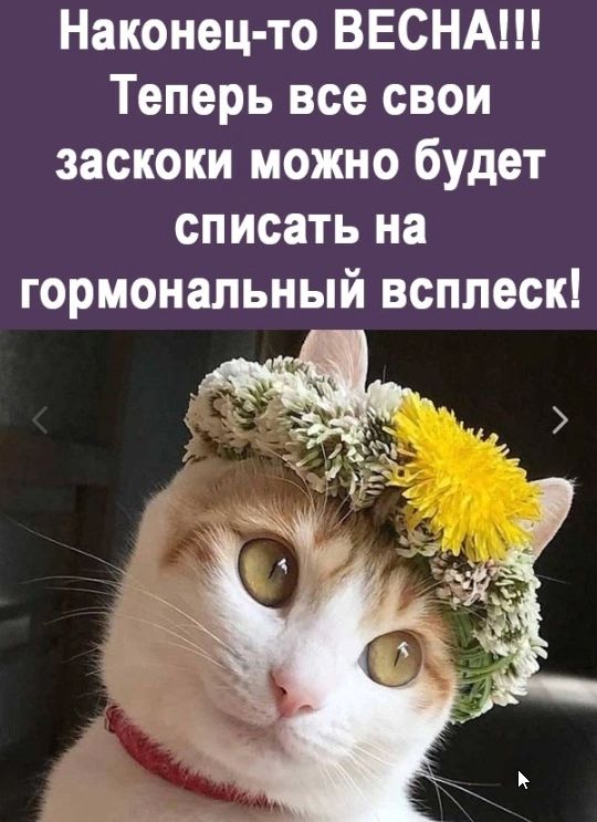 Наконец то ВЕСНА Теперь все свои заскоки можно будет списать на гормональный всплеск