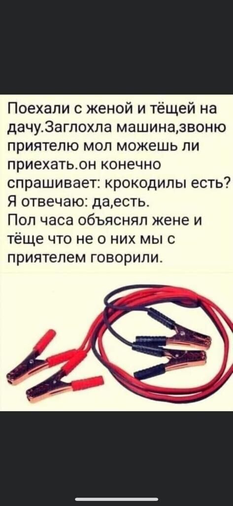 Поехали с женой и тёщей на дачу3агпохла машиназвоню приятелю мол можешь ли приехатьон конечно спрашивает крокодилы есть Я отвечаю даесть Пол часа объяснял жене и теще что не о них мыс приятелем говорили