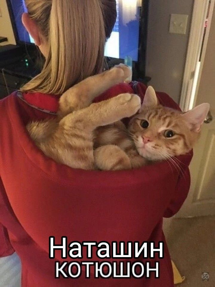 ак Наташин котюшон