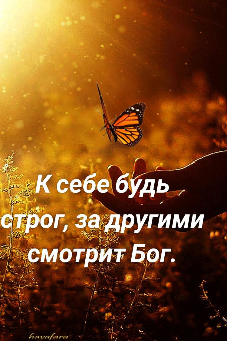 ч ЭК себе будь 315013 за другими смотрит Бог