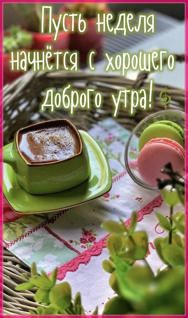 ть Ёсделяы М _ ЁЧРЗЁ