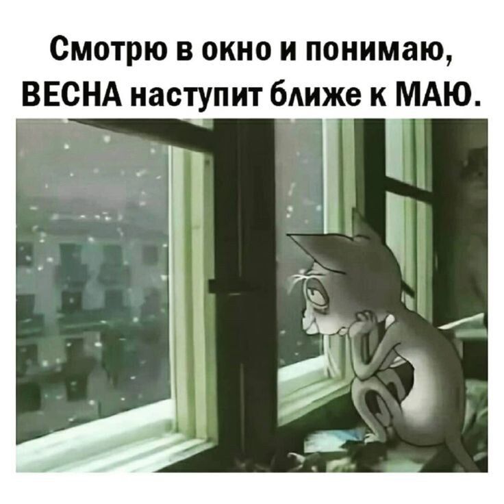 Смотрю в окно и понимаю ВЕСНА наступит бАиже к МАЮ