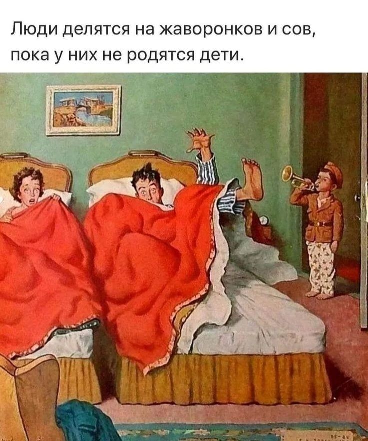Люди делятся на жаворонков И сов пока у НИХ НЭ РОДЯТСЯ дети