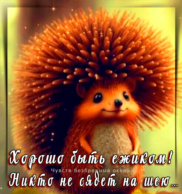 дартс быть ежи Чувств в в ЩиЁііьу пс от шіш