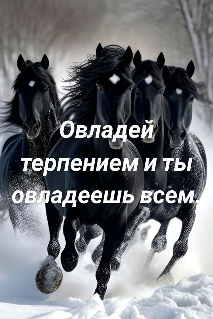 т ерпением и ть