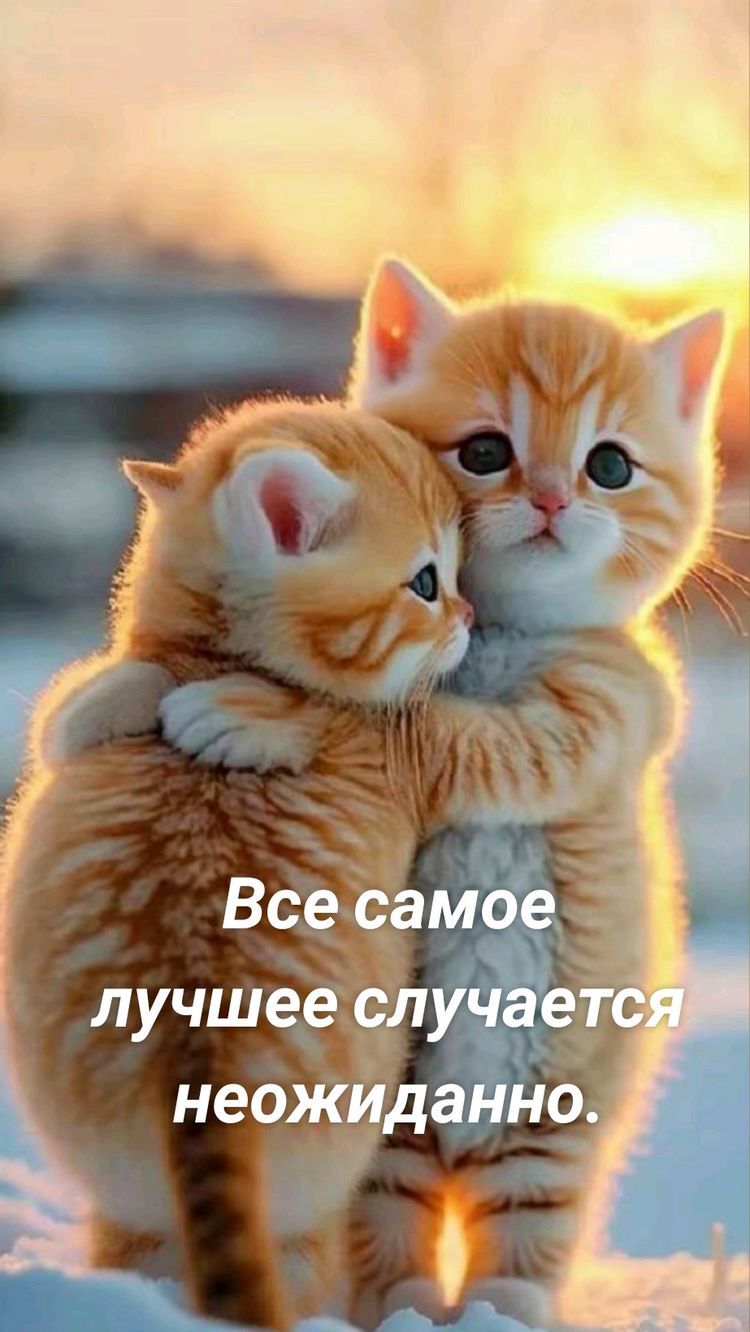 Все самое Ё лучшее случает неожиданно