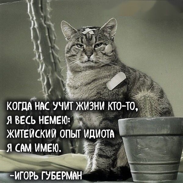 когданм ттт жиэйи кто т я ввсь нвмвю ЖИТЕЙСКИЙ ОПЫТ ИЦИЩА