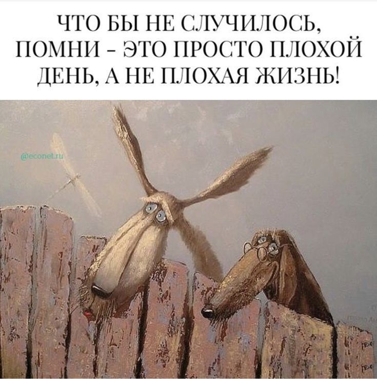 ЧТО ВЫ НЕ СЛУЧИЛОСЬ ПОМНН ЭТО ПРОСТО ПЛОХО