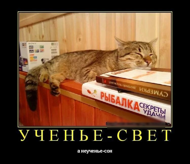 УЧЕНЬЕСВЕТ чеи