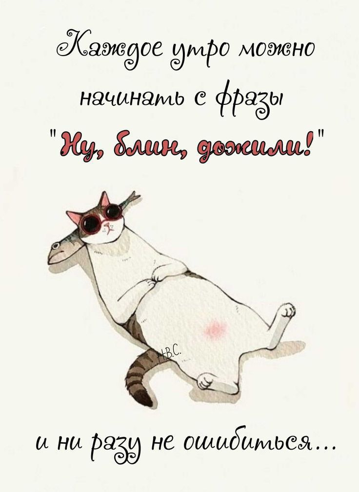 8699199906 ЮМРО можно НЗЧМНЗМЬ фРЗёЫ мш И НИ Раё НС ОШМбММЬСаЯ