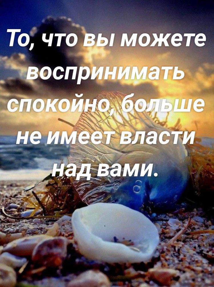 То что можете чзоспринимать