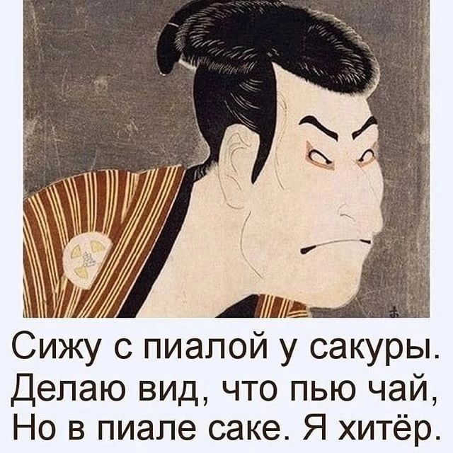 Лш Сижу с пиапой у сакуры Делаю вид что пью чай Но в пиапе саке Я хитёр