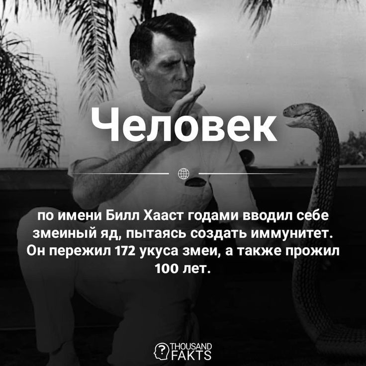 по имени Билл Хаасг годами вводил себе сменный яд пытаясь создать иммунитет Он пережил 111 укуса змеи а также прожил 100 ПЕЕ тишман РА КТЗ