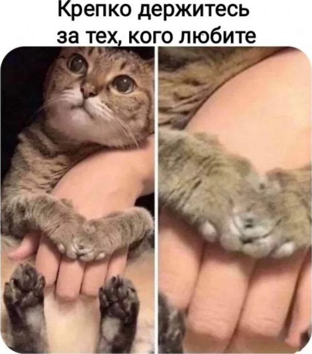 Крепко держитесь за тех кого любите