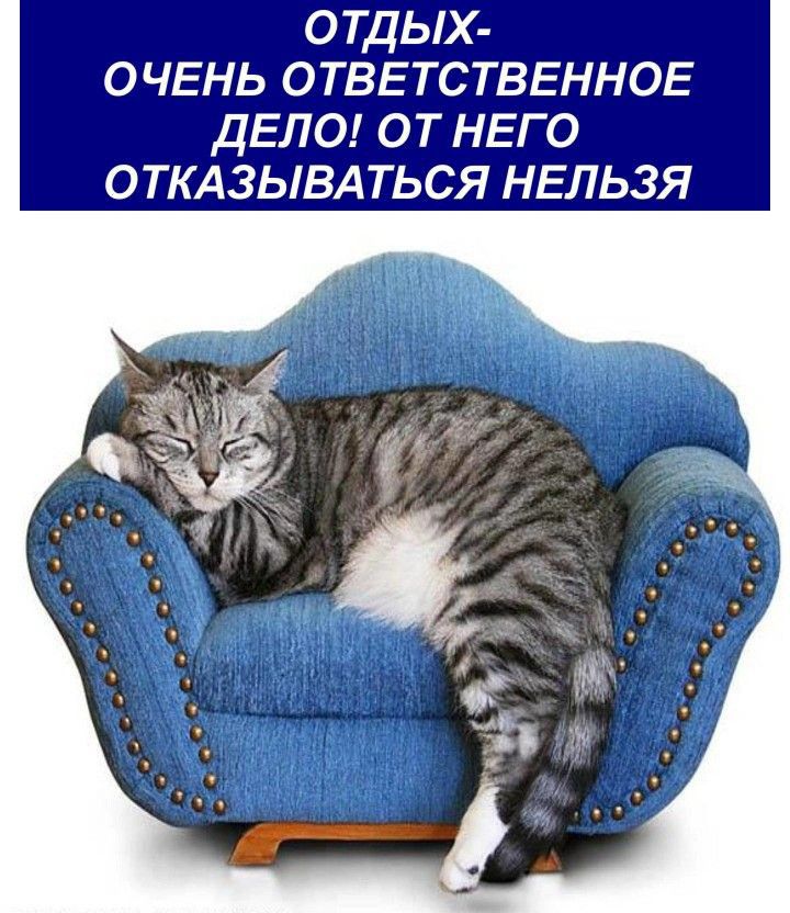 отдых оч5нь отввтстввнноь ДЕЛО от НЕГО о ТКАЗЫВА ться нельзя