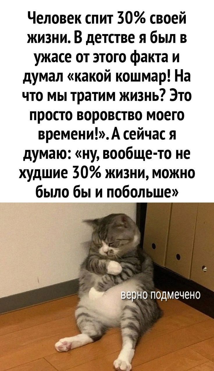 Человек спит 30 своей жизни В детстве я был в ужасе от этого факта и думал какой кошмар На что мы тратим жизнь Это просто воровство моего времениА сейчас я думаю ну вообще то не худшие 30 жизни можно было бы и побольше