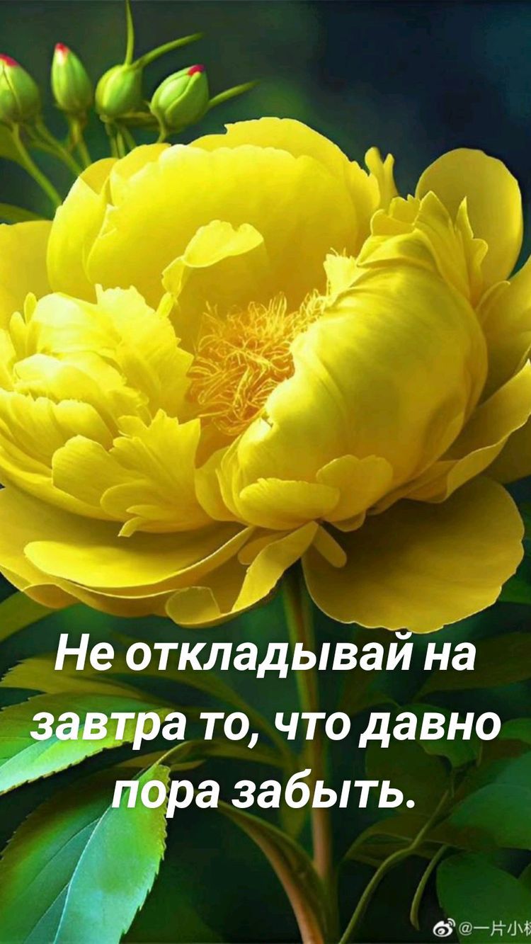 Не откладывай на втра то что давно _ ора забыть сэт