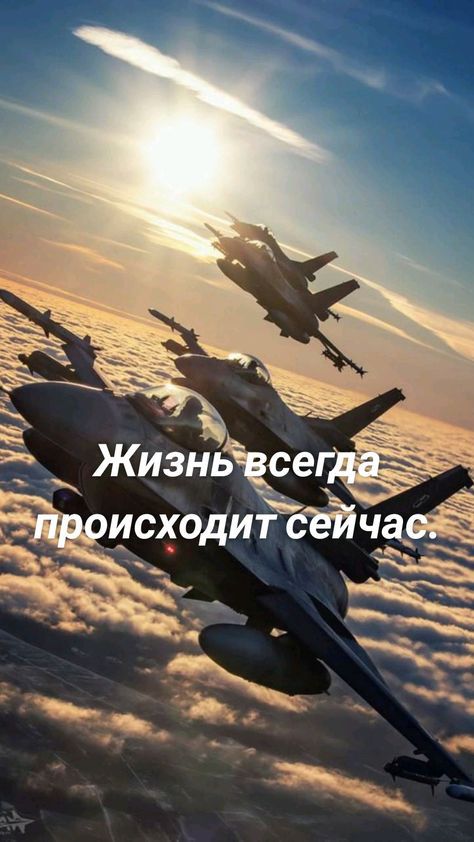 ЖиЗньдсегк _цсходиТёеЙ із