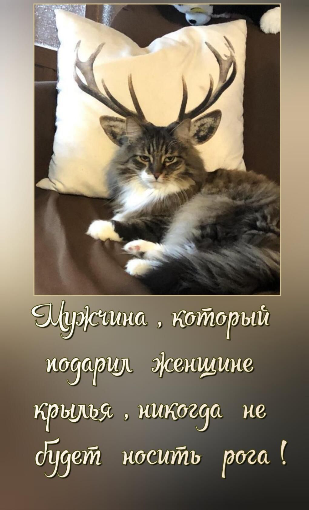 эісшиа который козаршъ Женщине крылья никогза не косить дога