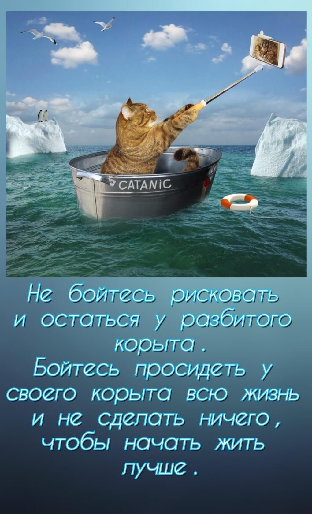 Бойтесь просидеть у своего корыто всю жизнь и не сделать ничего чтобы начать жить лучше