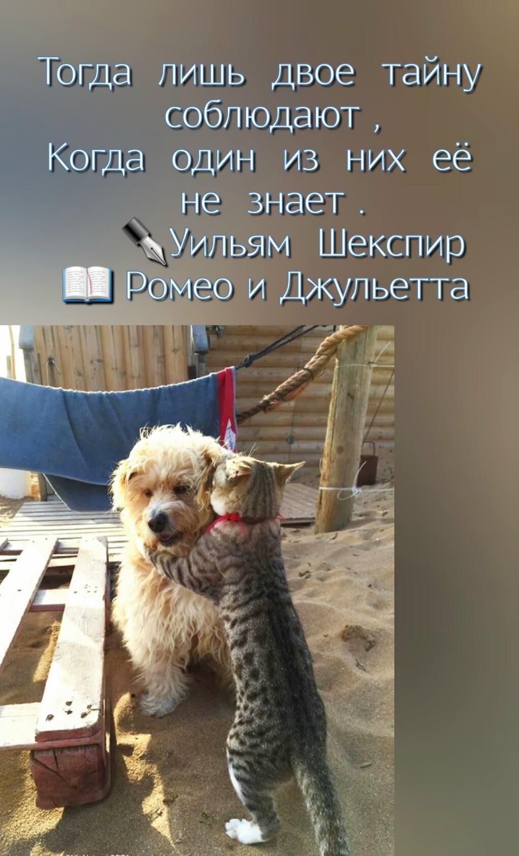 Тогда лишь двое тайну соблюдают Когда один из них её не знает Уипьям Шекспир во и Джульетта