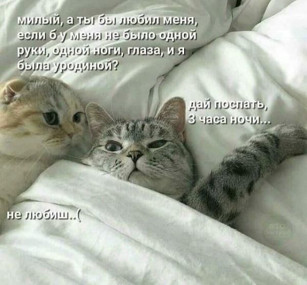 дайщдоеи