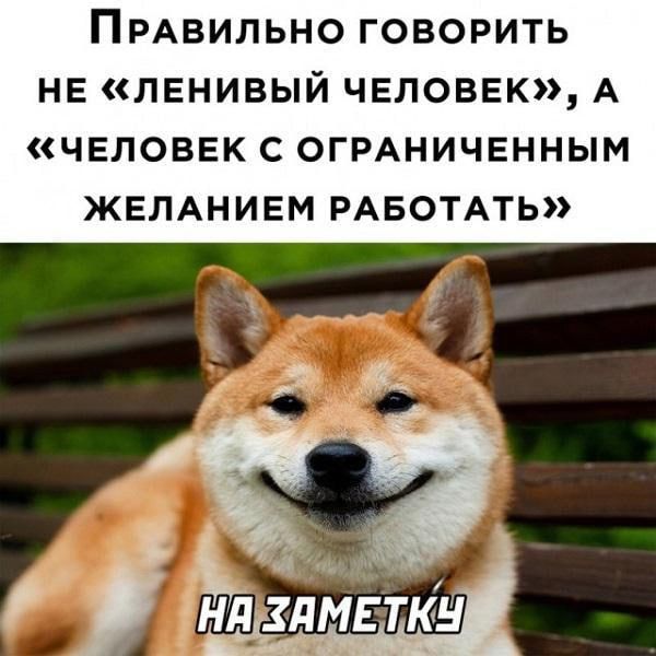 ПРАВИЛЬНО говорить не ленивый человек А ЧЕЛОВЕК С ОГРАНИЧЕННЫМ ЖЕЛАНИЕМ РАБОТАТЬ дм дети