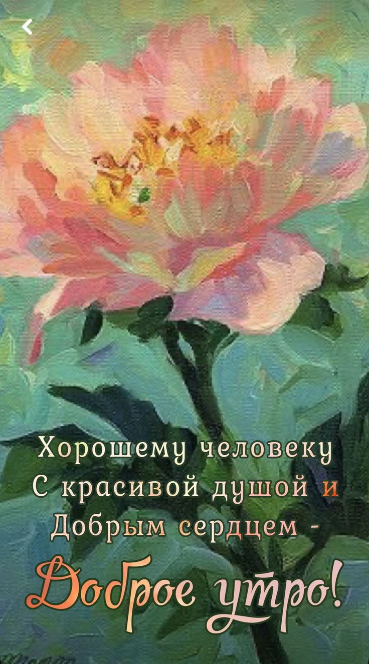 Хорошпему чел_деку Скр асивои