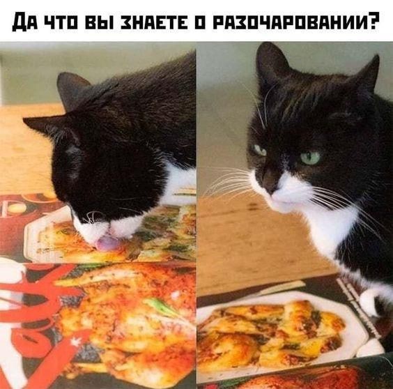 дд ЧТП ВЫ НПЕТЕ П РПЗПЧПРПВПНИИ
